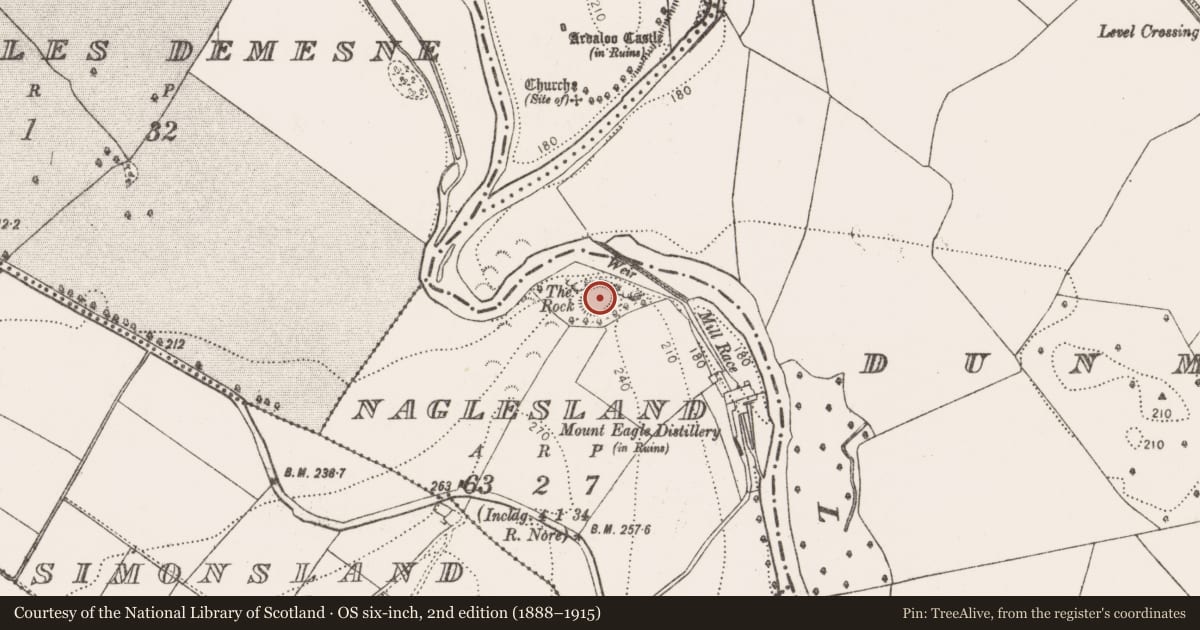 Ordnance Survey six-inch map, 2nd edition (1888–1915) covering the location of Castle - ringwork, Naglesland, County Kilkenny, with a pin at the register's coordinates