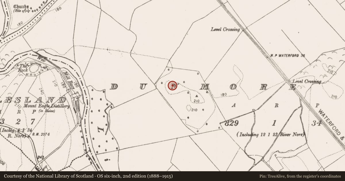Ordnance Survey six-inch map, 2nd edition (1888–1915) covering the location of Concentric enclosure, Dunmore West, County Kilkenny, with a pin at the register's coordinates