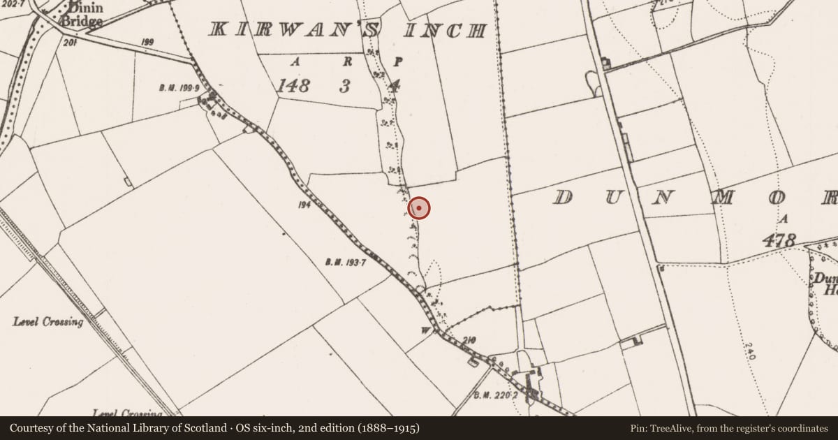 Ordnance Survey six-inch map, 2nd edition (1888–1915) covering the location of Ring-ditch, Kirwan'S Inch, County Kilkenny, with a pin at the register's coordinates