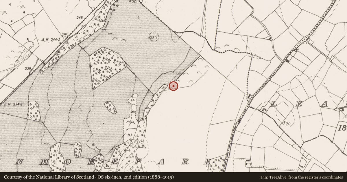 Ordnance Survey six-inch map, 2nd edition (1888–1915) covering the location of Enclosure, Dunmore Park, County Kilkenny, with a pin at the register's coordinates