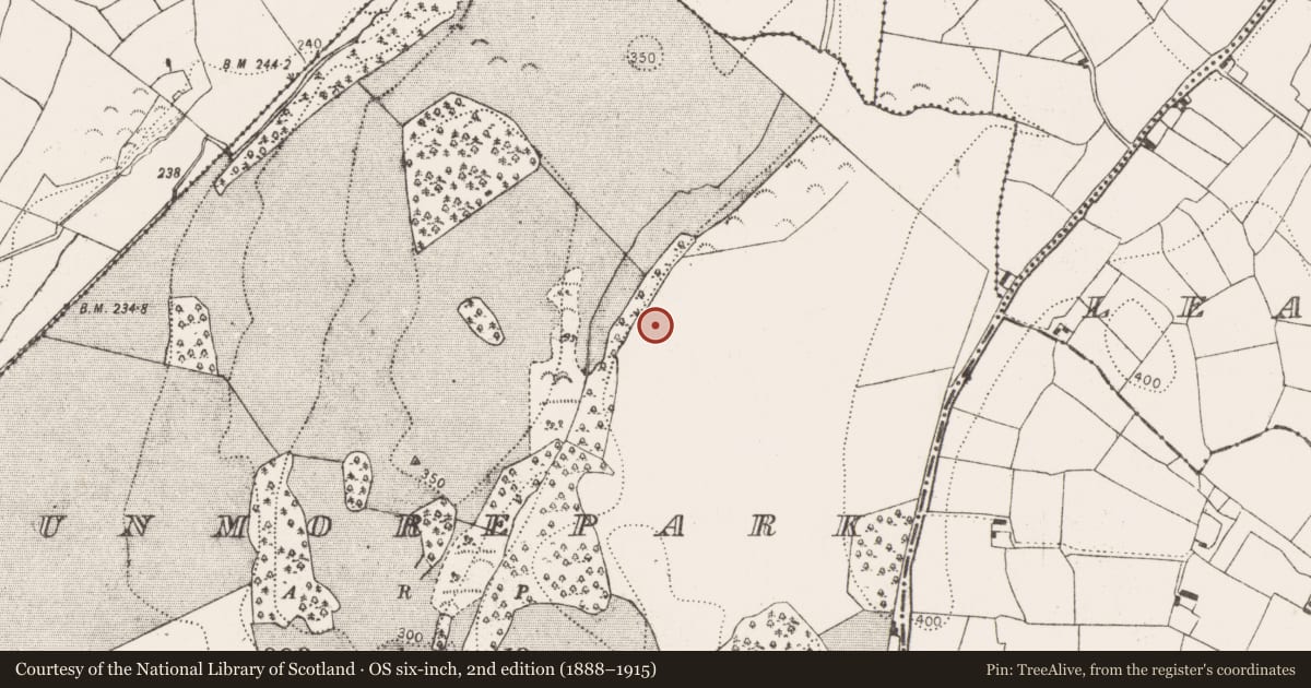 Ordnance Survey six-inch map, 2nd edition (1888–1915) covering the location of Enclosure, Dunmore Park, County Kilkenny, with a pin at the register's coordinates