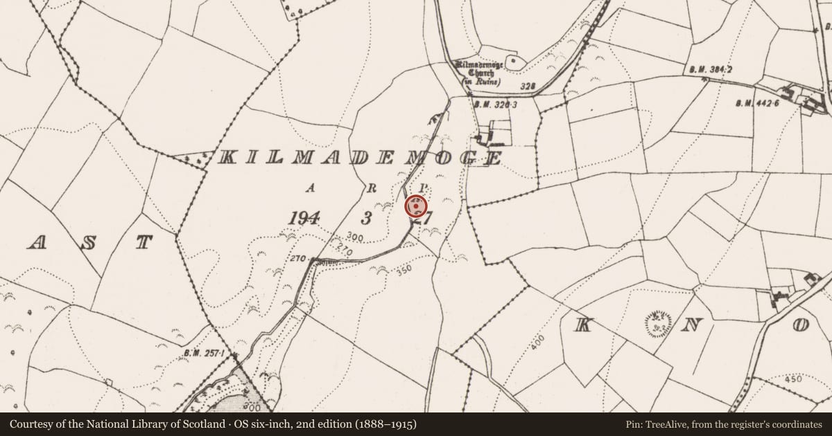 Ordnance Survey six-inch map, 2nd edition (1888–1915) covering the location of Water mill - horizontal-wheeled, Kilmademoge, County Kilkenny, with a pin at the register's coordinates