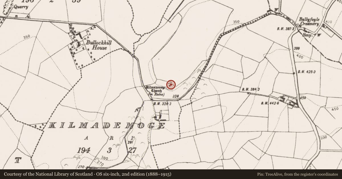 Ordnance Survey six-inch map, 2nd edition (1888–1915) covering the location of Church, Kilmademoge, County Kilkenny, with a pin at the register's coordinates