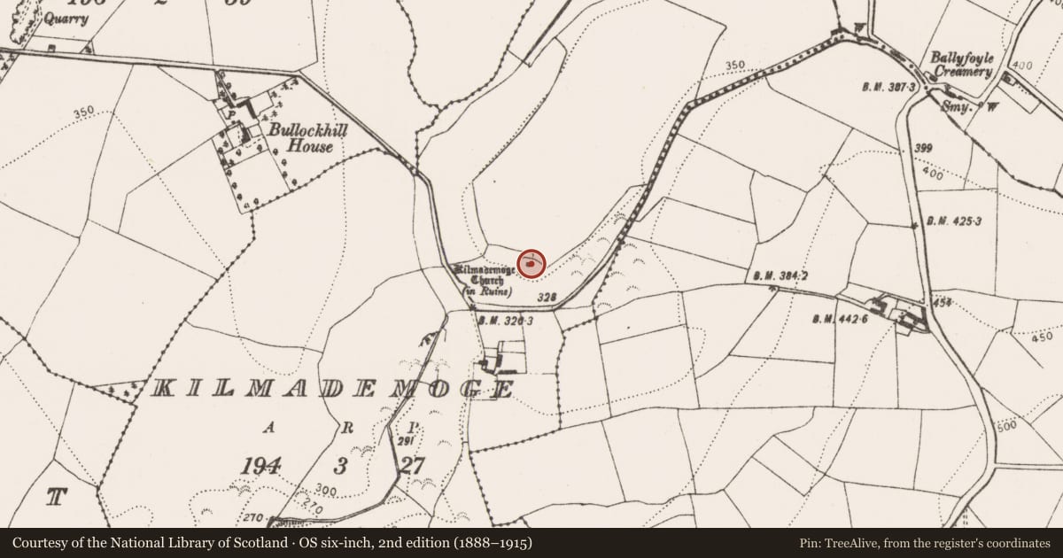 Ordnance Survey six-inch map, 2nd edition (1888–1915) covering the location of Graveyard, Kilmademoge, County Kilkenny, with a pin at the register's coordinates