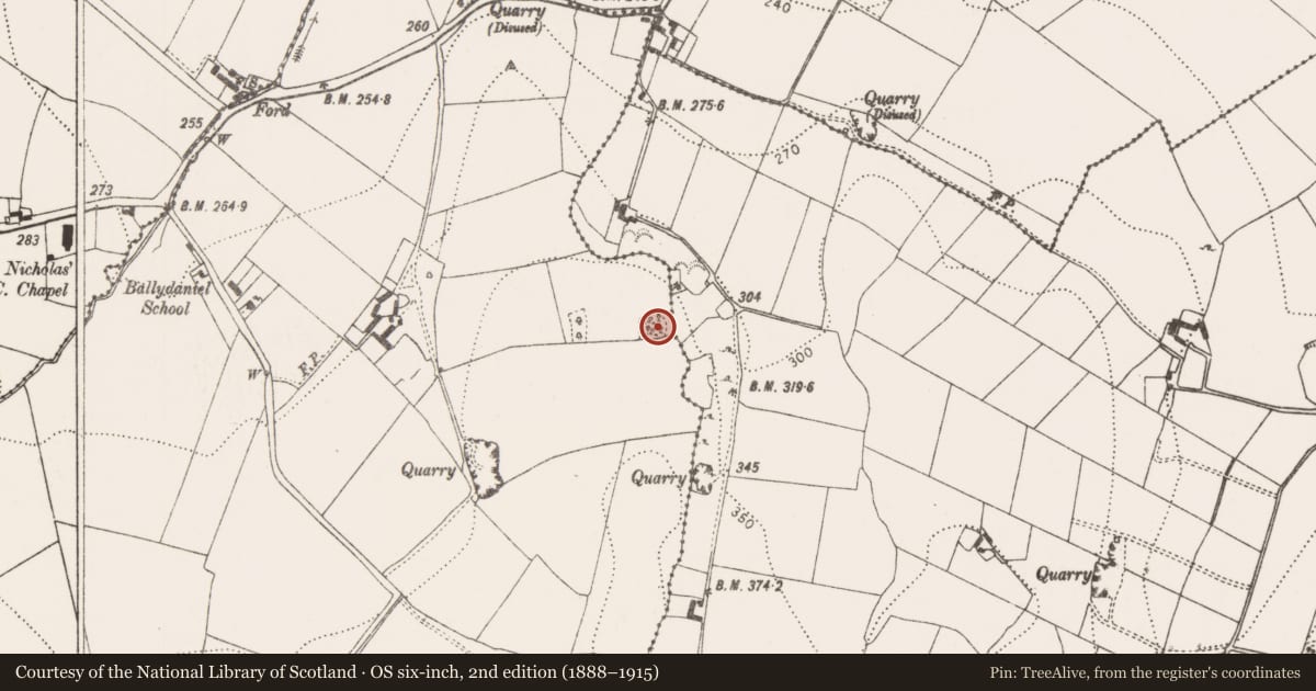 Ordnance Survey six-inch map, 2nd edition (1888–1915) covering the location of Ringfort - rath, Ballydaniel, County Kilkenny, with a pin at the register's coordinates