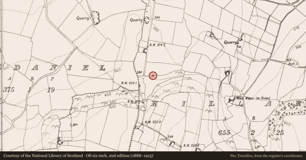 Ordnance Survey six-inch map, 2nd edition (1888–1915) covering the location of Souterrain, Killaree, County Kilkenny, with a pin at the register's coordinates