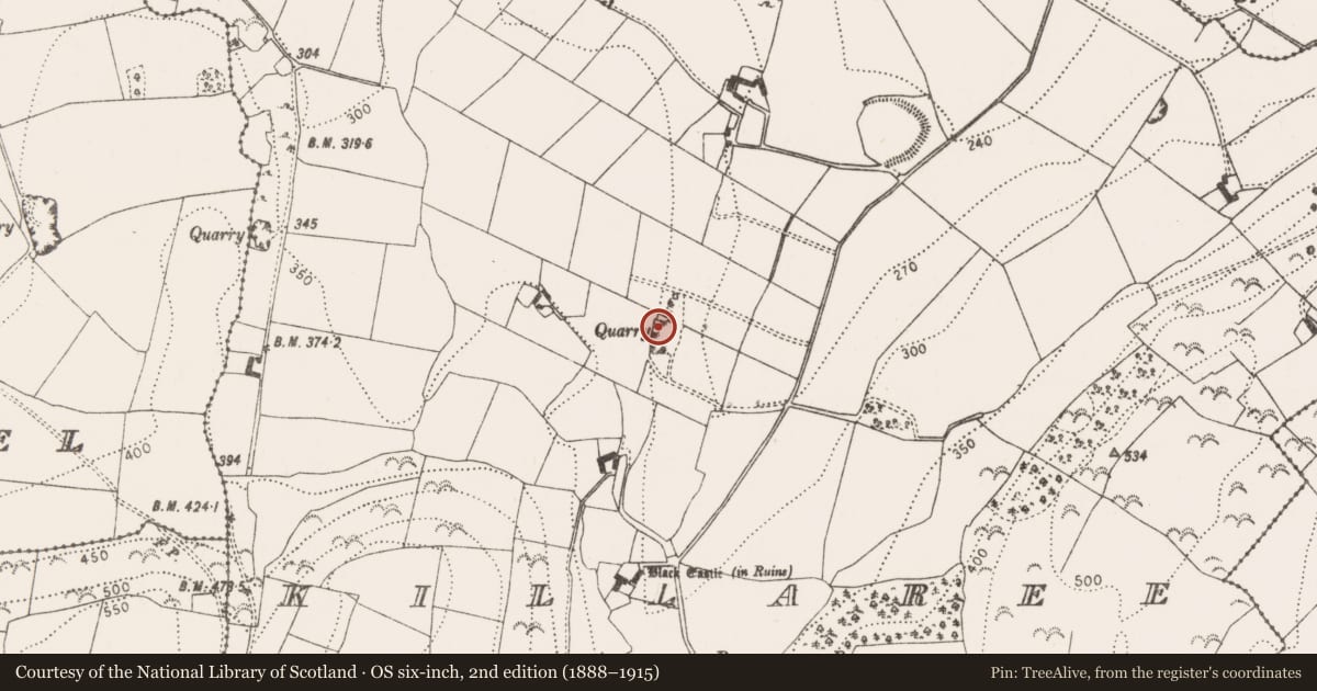 Ordnance Survey six-inch map, 2nd edition (1888–1915) covering the location of Burial, Killaree, County Kilkenny, with a pin at the register's coordinates