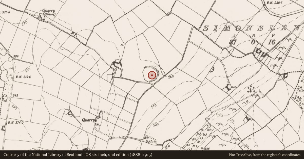 Ordnance Survey six-inch map, 2nd edition (1888–1915) covering the location of Ecclesiastical enclosure, Killaree, County Kilkenny, with a pin at the register's coordinates