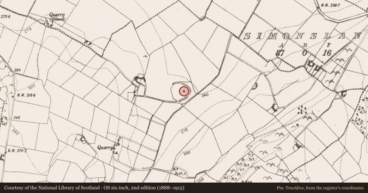 Ordnance Survey six-inch map, 2nd edition (1888–1915) covering the location of Building, Killaree, County Kilkenny, with a pin at the register's coordinates