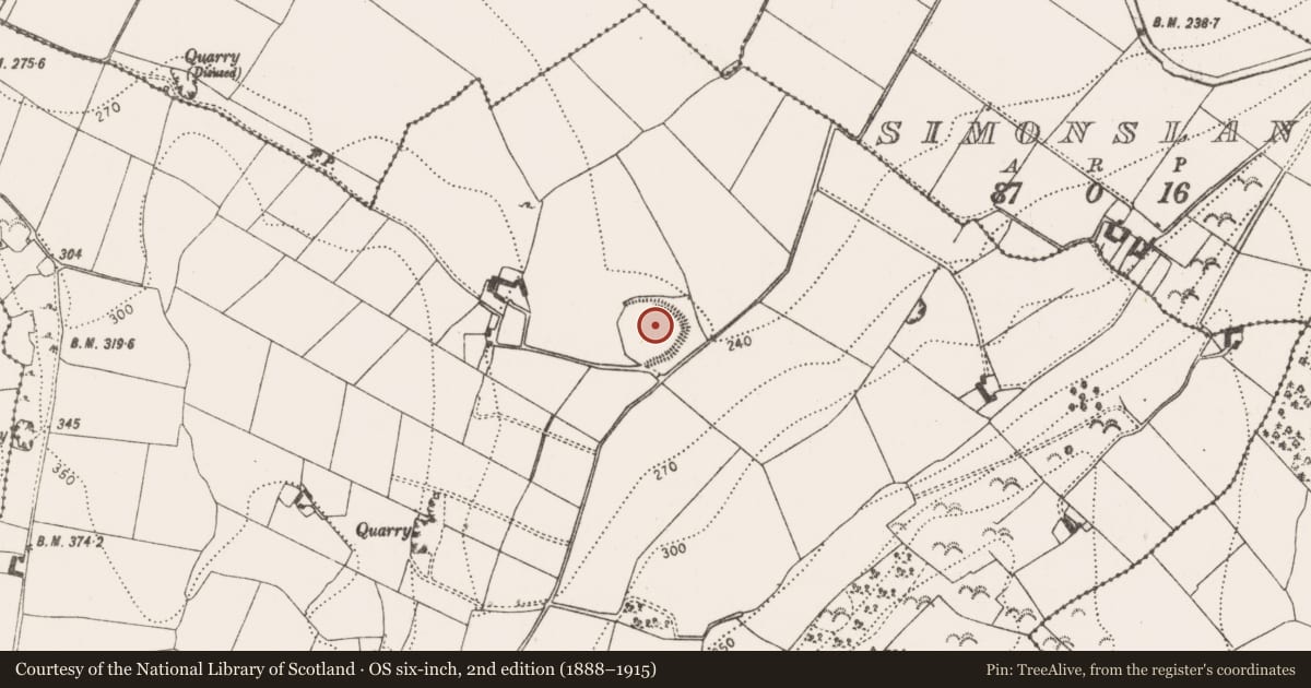 Ordnance Survey six-inch map, 2nd edition (1888–1915) covering the location of Church, Killaree, County Kilkenny, with a pin at the register's coordinates