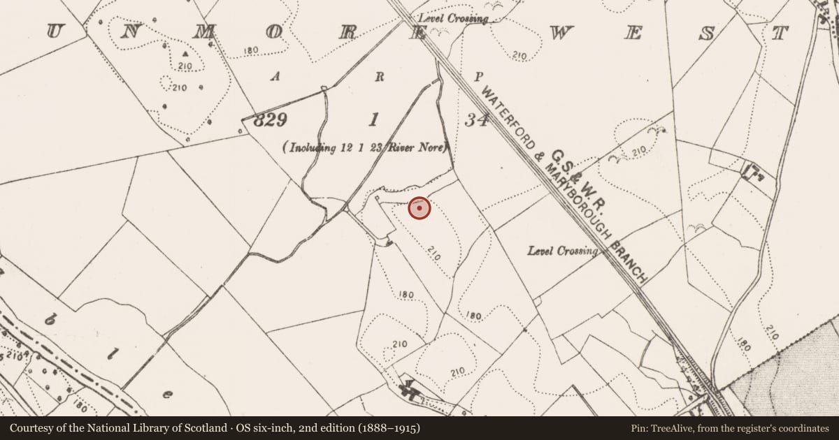 Ordnance Survey six-inch map, 2nd edition (1888–1915) covering the location of Enclosure, Dunmore West, County Kilkenny, with a pin at the register's coordinates