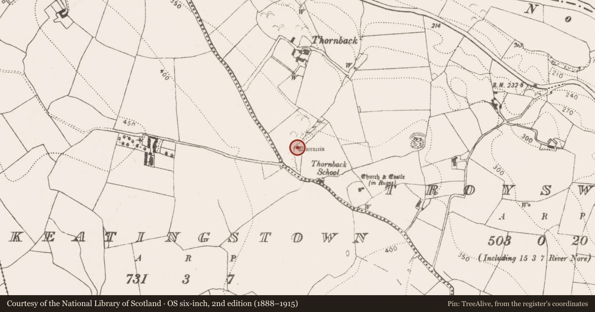 Ordnance Survey six-inch map, 2nd edition (1888–1915) covering the location of Ritual site - holy well, Troyswood, County Kilkenny, with a pin at the register's coordinates