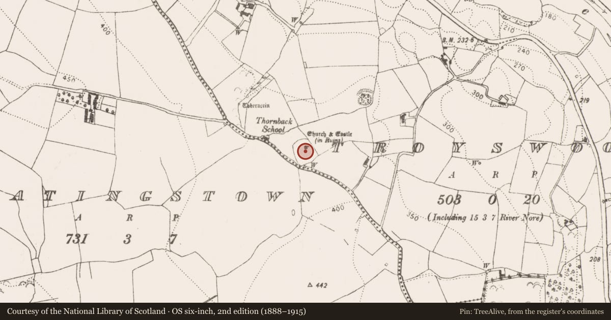 Ordnance Survey six-inch map, 2nd edition (1888–1915) covering the location of Graveyard, Troyswood, County Kilkenny, with a pin at the register's coordinates