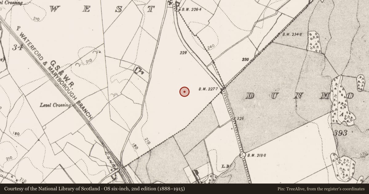 Ordnance Survey six-inch map, 2nd edition (1888–1915) covering the location of Enclosure, Dunmore West, County Kilkenny, with a pin at the register's coordinates