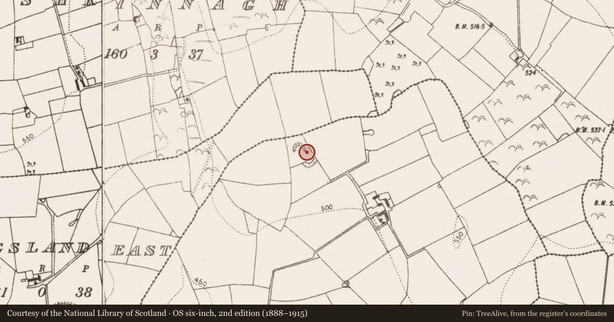 Ordnance Survey six-inch map, 2nd edition (1888–1915) covering the location of Enclosure, Cloranshea, County Kilkenny, with a pin at the register's coordinates