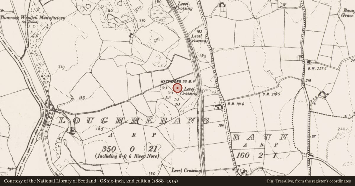 Ordnance Survey six-inch map, 2nd edition (1888–1915) covering the location of Crannog, Loughmerans, County Kilkenny, with a pin at the register's coordinates