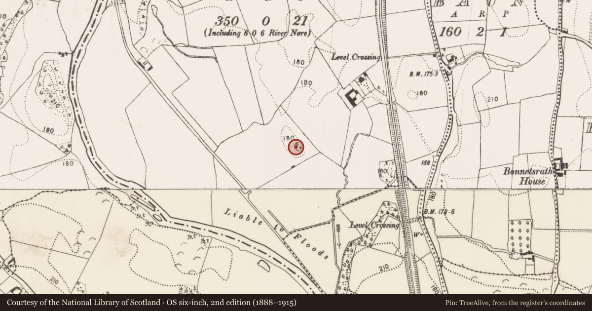 Ordnance Survey six-inch map, 2nd edition (1888–1915) covering the location of Enclosure, Loughmerans, County Kilkenny, with a pin at the register's coordinates