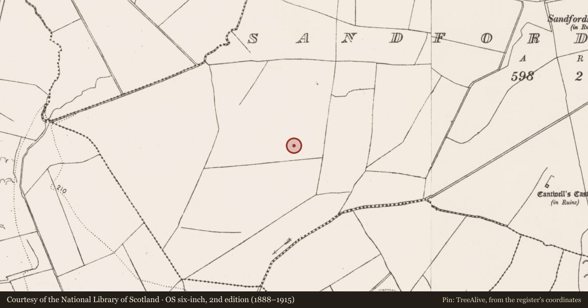 Ordnance Survey six-inch map, 2nd edition (1888–1915) covering the location of Enclosure, Sandfordscourt, County Kilkenny, with a pin at the register's coordinates
