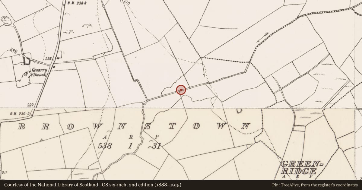 Ordnance Survey six-inch map, 2nd edition (1888–1915) covering the location of Structure, Brownstown, County Kilkenny, with a pin at the register's coordinates
