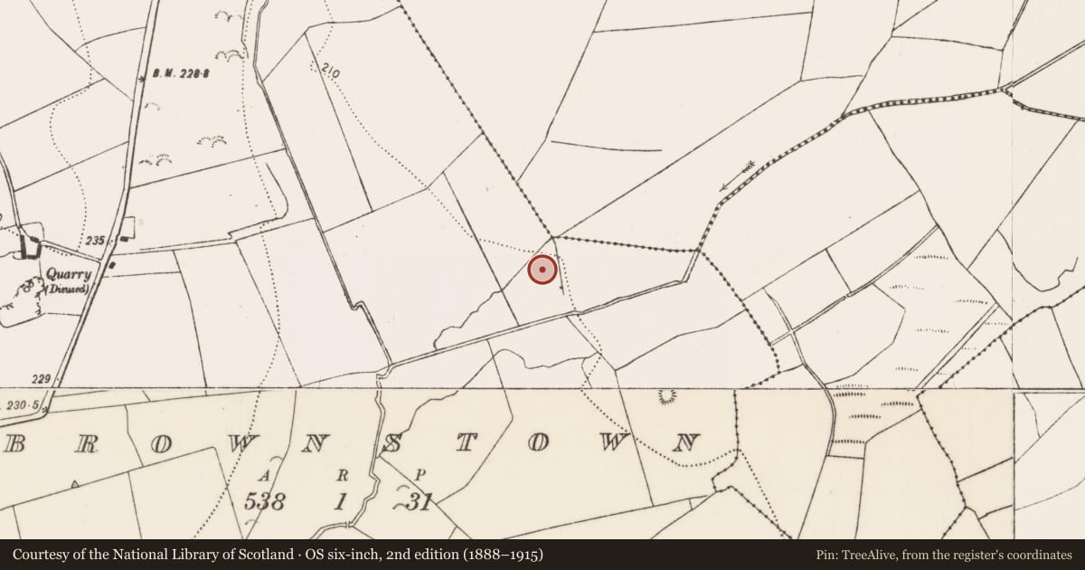 Ordnance Survey six-inch map, 2nd edition (1888–1915) covering the location of Cultivation ridges, Brownstown, County Kilkenny, with a pin at the register's coordinates