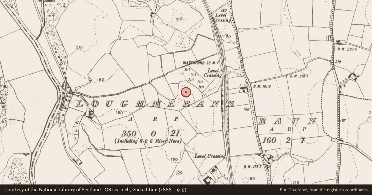 Ordnance Survey six-inch map, 2nd edition (1888–1915) covering the location of Castle - unclassified, Loughmerans, County Kilkenny, with a pin at the register's coordinates