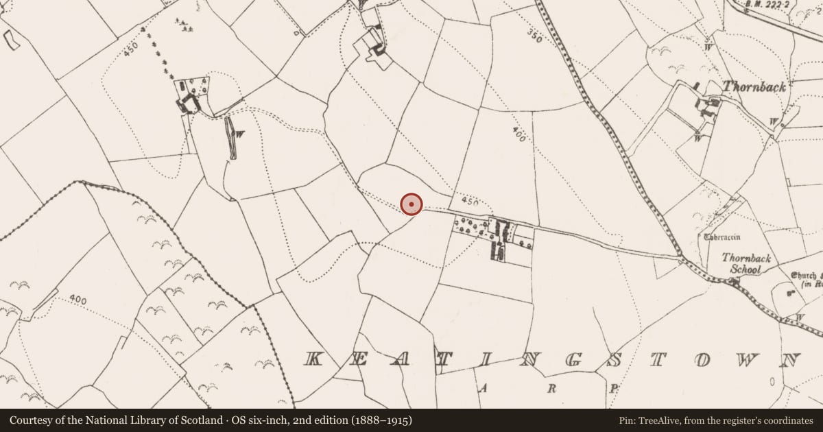 Ordnance Survey six-inch map, 2nd edition (1888–1915) covering the location of Settlement cluster, Keatingstown, County Kilkenny, with a pin at the register's coordinates