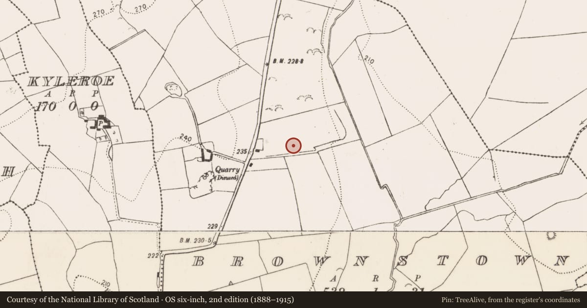 Ordnance Survey six-inch map, 2nd edition (1888–1915) covering the location of Fulacht fia, Brownstown, County Kilkenny, with a pin at the register's coordinates