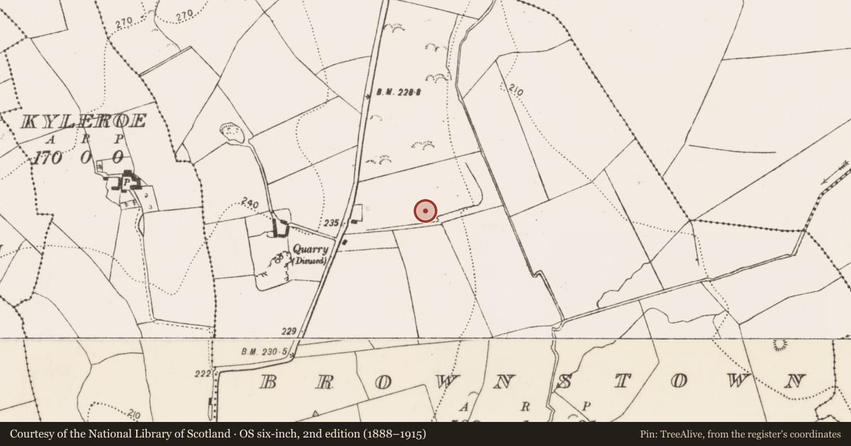 Ordnance Survey six-inch map, 2nd edition (1888–1915) covering the location of Fulacht fia, Brownstown, County Kilkenny, with a pin at the register's coordinates