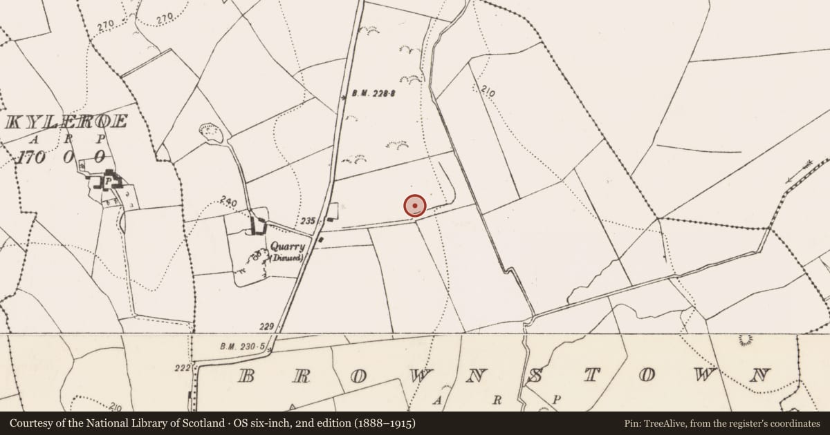 Ordnance Survey six-inch map, 2nd edition (1888–1915) covering the location of Fulacht fia, Brownstown, County Kilkenny, with a pin at the register's coordinates