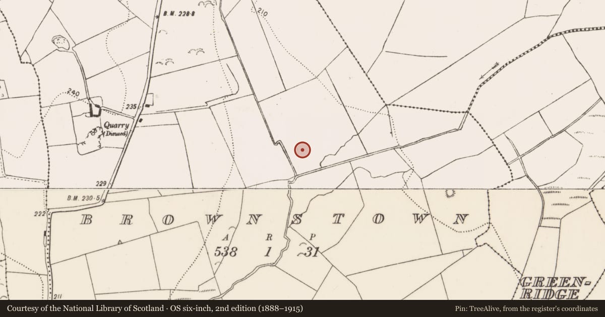 Ordnance Survey six-inch map, 2nd edition (1888–1915) covering the location of Fulacht fia, Brownstown, County Kilkenny, with a pin at the register's coordinates