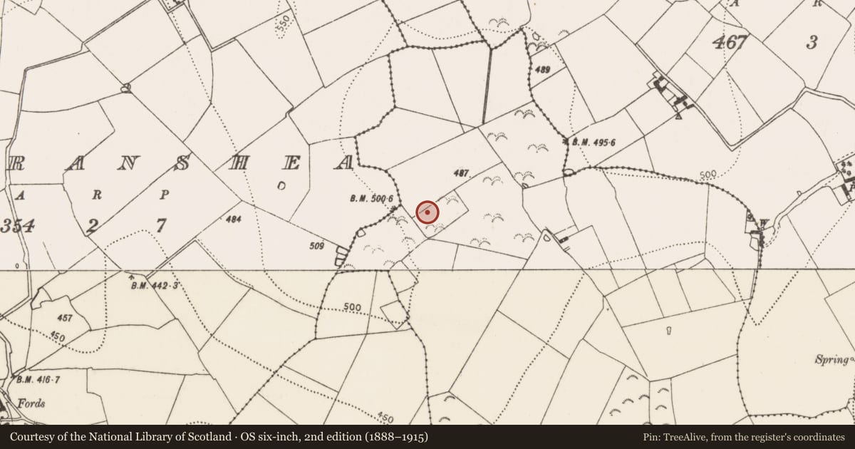 Ordnance Survey six-inch map, 2nd edition (1888–1915) covering the location of Fulacht fia, Bonnetstown, County Kilkenny, with a pin at the register's coordinates