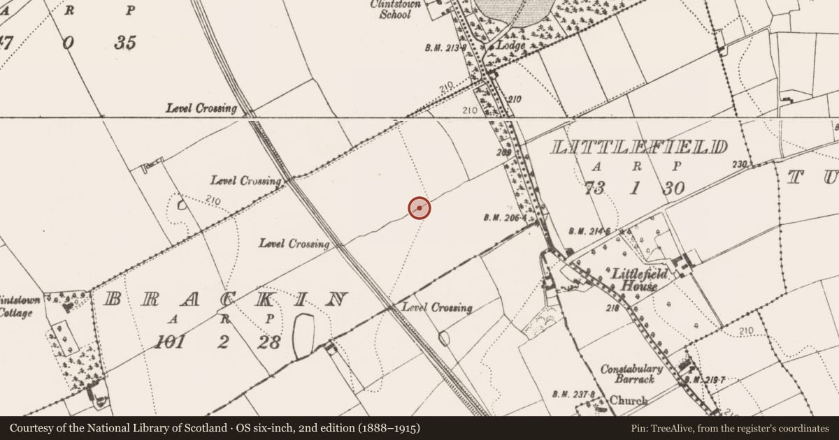 Ordnance Survey six-inch map, 2nd edition (1888–1915) covering the location of Field system, Brackin, County Kilkenny, with a pin at the register's coordinates