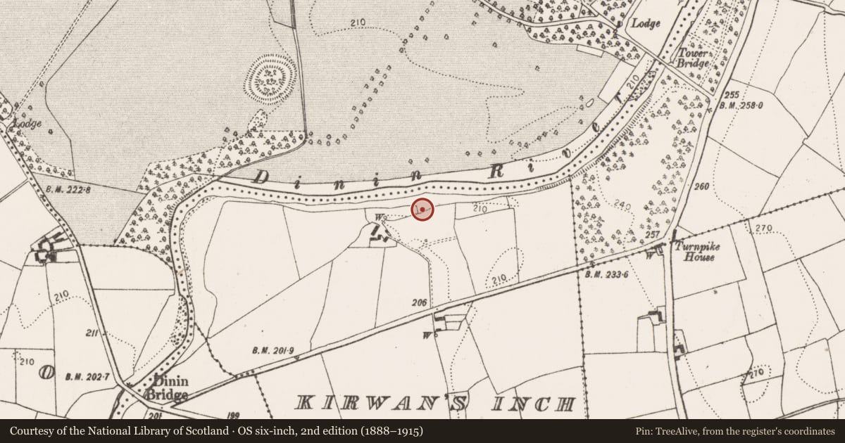 Ordnance Survey six-inch map, 2nd edition (1888–1915) covering the location of Enclosure, Kirwan'S Inch, County Kilkenny, with a pin at the register's coordinates