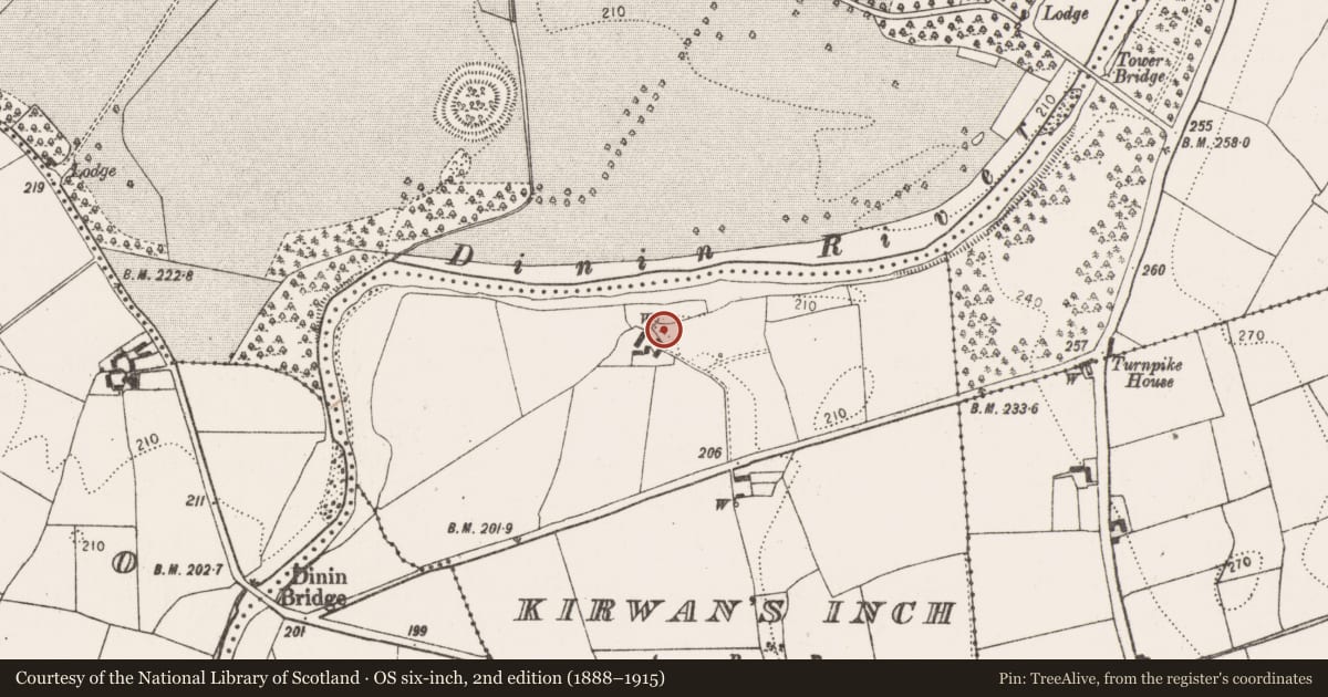 Ordnance Survey six-inch map, 2nd edition (1888–1915) covering the location of Enclosure - large enclosure, Kirwan'S Inch, County Kilkenny, with a pin at the register's coordinates