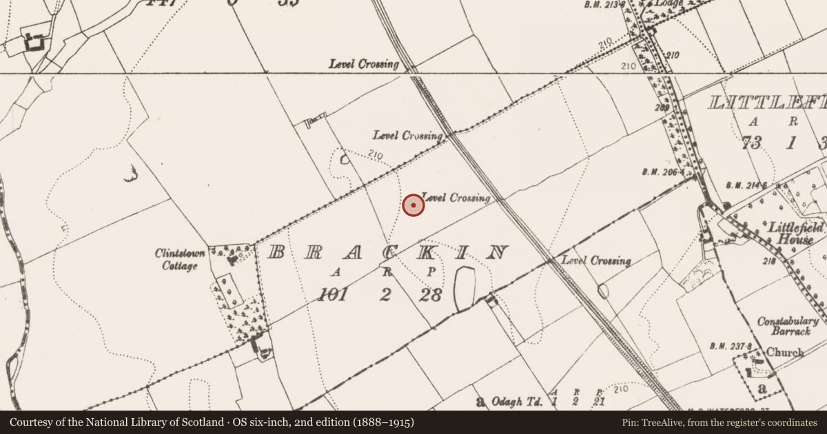 Ordnance Survey six-inch map, 2nd edition (1888–1915) covering the location of Enclosure, Brackin, County Kilkenny, with a pin at the register's coordinates