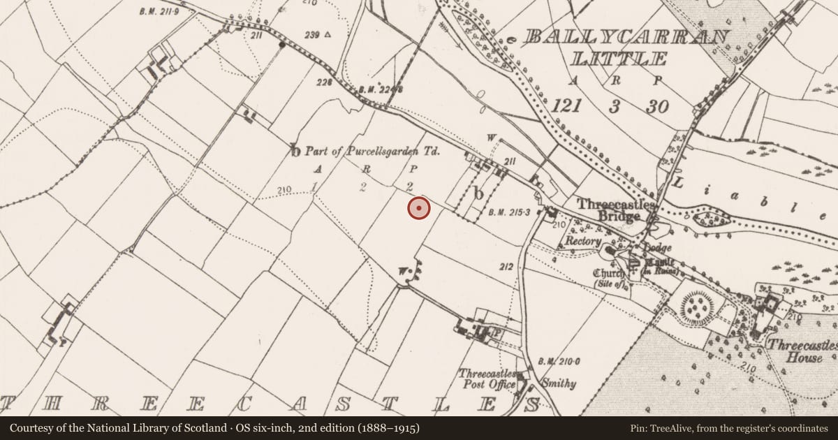 Ordnance Survey six-inch map, 2nd edition (1888–1915) covering the location of Ring-ditch, Threecastles, County Kilkenny, with a pin at the register's coordinates