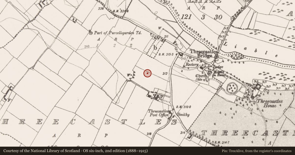 Ordnance Survey six-inch map, 2nd edition (1888–1915) covering the location of Ring-ditch, Threecastles, County Kilkenny, with a pin at the register's coordinates