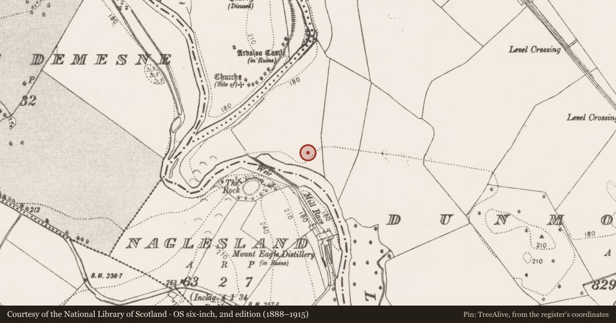 Ordnance Survey six-inch map, 2nd edition (1888–1915) covering the location of Enclosure, Dunmore West, County Kilkenny, with a pin at the register's coordinates