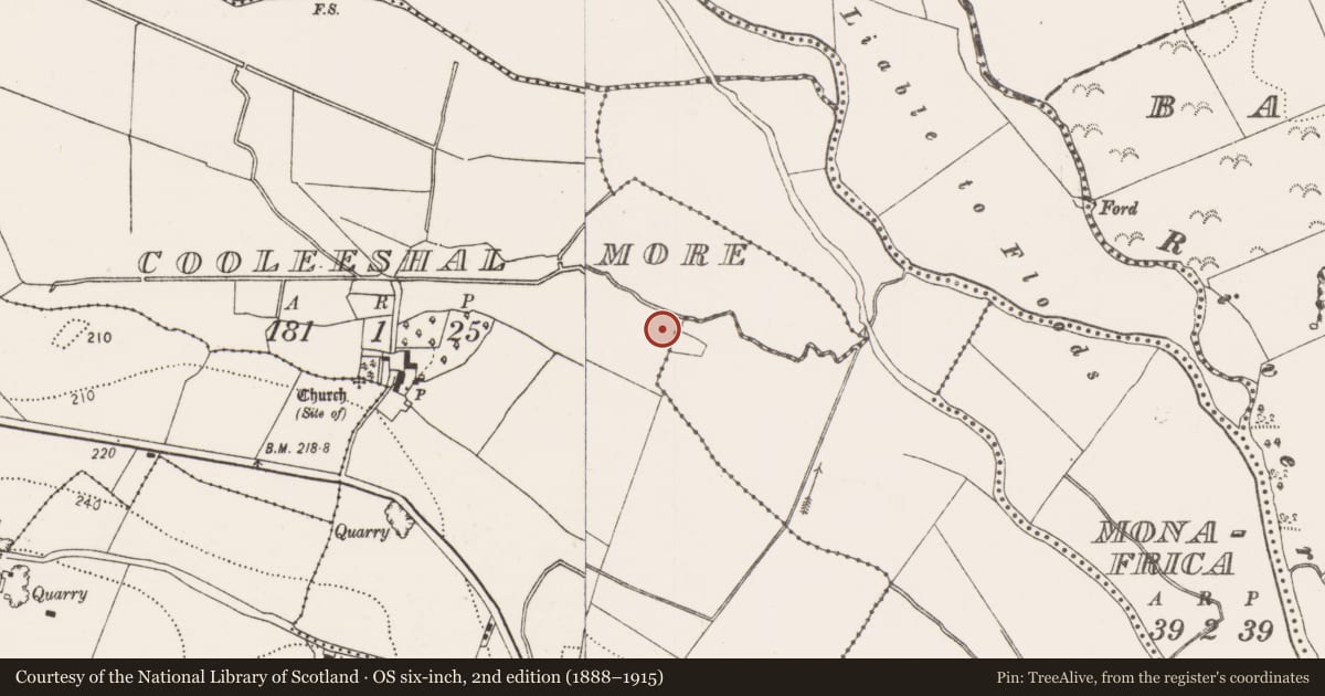 Ordnance Survey six-inch map, 2nd edition (1888–1915) covering the location of Enclosure, Cooleeshal More, County Kilkenny, with a pin at the register's coordinates