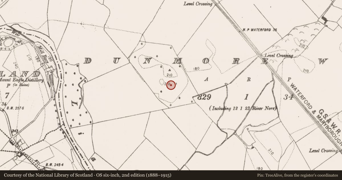Ordnance Survey six-inch map, 2nd edition (1888–1915) covering the location of Field system, Dunmore West, County Kilkenny, with a pin at the register's coordinates
