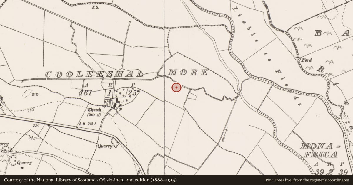 Ordnance Survey six-inch map, 2nd edition (1888–1915) covering the location of Enclosure, Cooleeshal More, County Kilkenny, with a pin at the register's coordinates