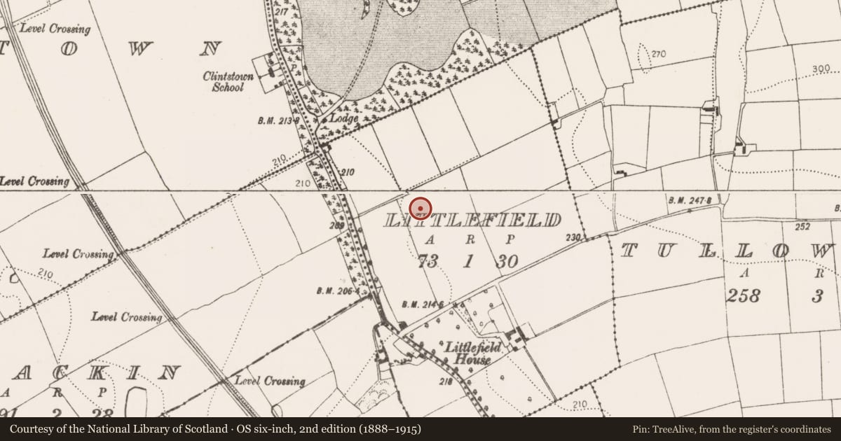 Ordnance Survey six-inch map, 2nd edition (1888–1915) covering the location of Ring-ditch, Littlefield, County Kilkenny, with a pin at the register's coordinates