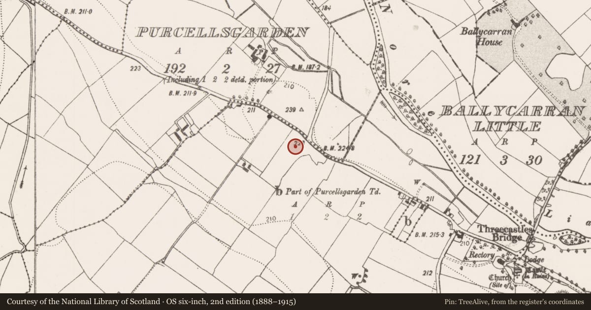 Ordnance Survey six-inch map, 2nd edition (1888–1915) covering the location of Enclosure, Threecastles, County Kilkenny, with a pin at the register's coordinates
