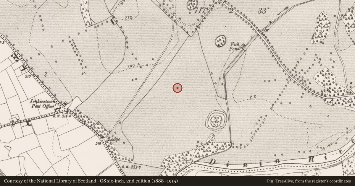 Ordnance Survey six-inch map, 2nd edition (1888–1915) covering the location of Ring-ditch, Jenkinstown, County Kilkenny, with a pin at the register's coordinates