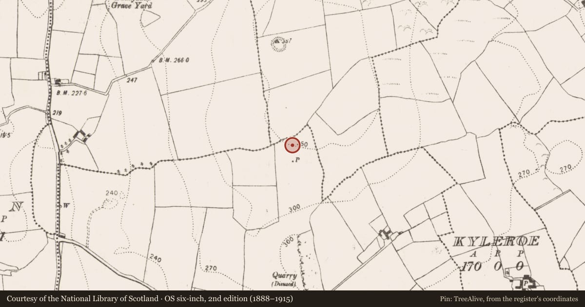 Ordnance Survey six-inch map, 2nd edition (1888–1915) covering the location of Enclosure, Bonnetsrath, County Kilkenny, with a pin at the register's coordinates