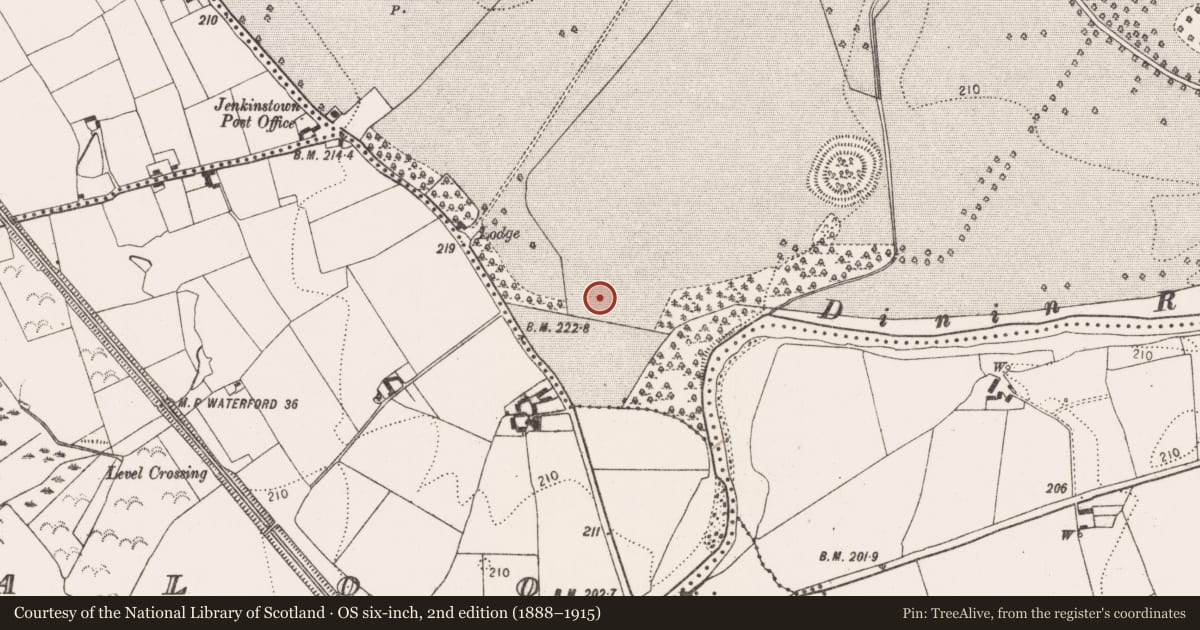Ordnance Survey six-inch map, 2nd edition (1888–1915) covering the location of Ring-ditch, Jenkinstown, County Kilkenny, with a pin at the register's coordinates