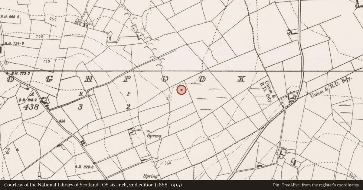 Ordnance Survey six-inch map, 2nd edition (1888–1915) covering the location of Moated site, Cloghpook, County Kilkenny, with a pin at the register's coordinates