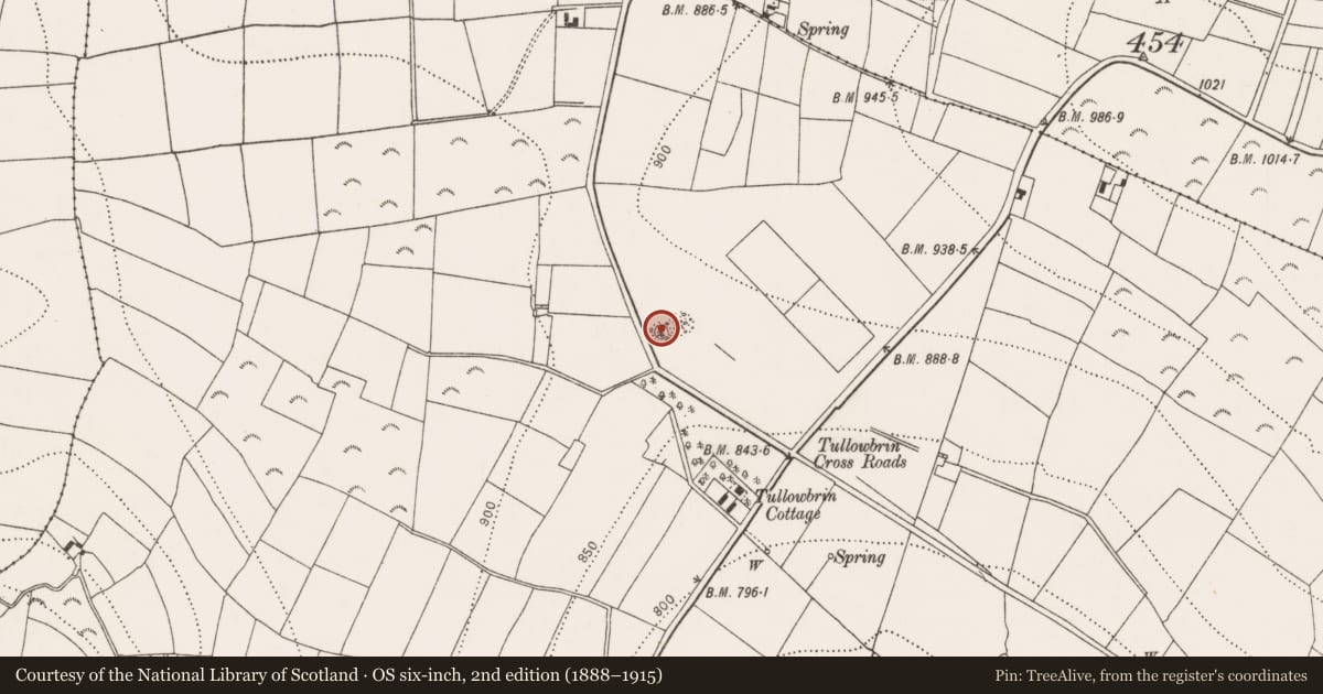 Ordnance Survey six-inch map, 2nd edition (1888–1915) covering the location of Ringfort - cashel, Tullowbrin, County Kilkenny, with a pin at the register's coordinates