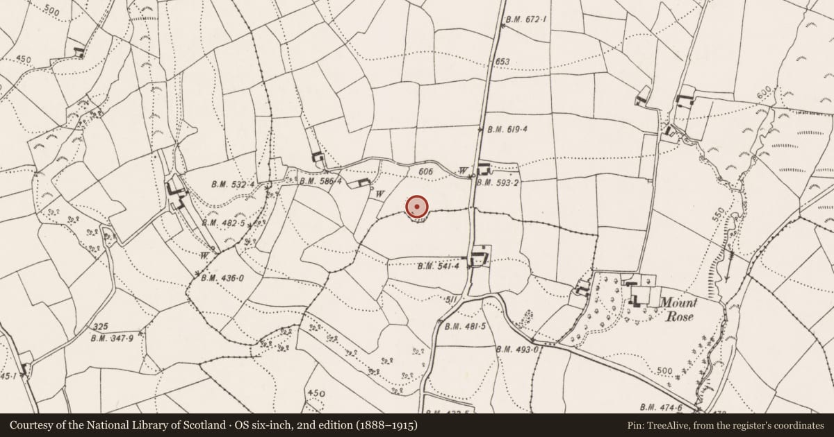 Ordnance Survey six-inch map, 2nd edition (1888–1915) covering the location of Ringfort - unclassified, Tullowbrin, County Kilkenny, with a pin at the register's coordinates