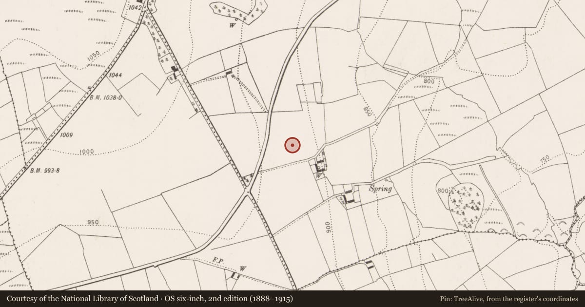 Ordnance Survey six-inch map, 2nd edition (1888–1915) covering the location of Barrow - ring-barrow, Reevanagh, County Kilkenny, with a pin at the register's coordinates